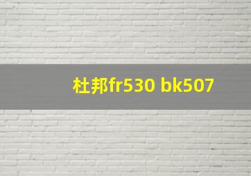 杜邦fr530 bk507